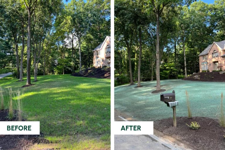 Before-After-Grading-Excavation-12