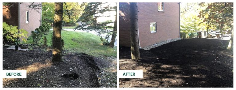 Before-After-Excavation-April-2026-4